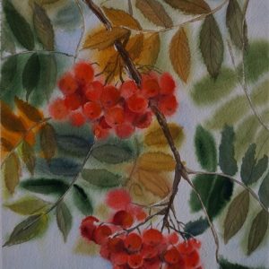 Autumn vitamins, watercolor, 28×38 cm